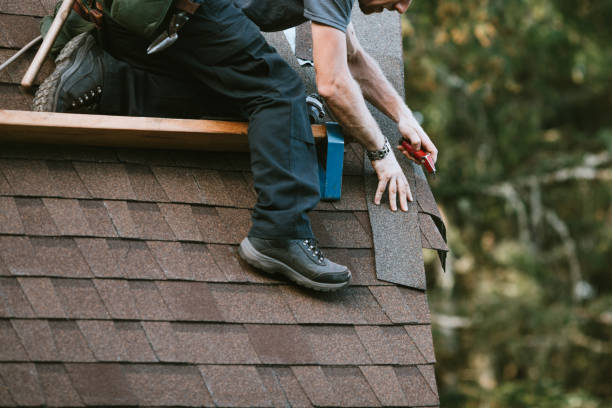 Best Metal Roofing Contractor  in Rice Lake, MN