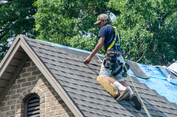 Best Storm Damage Roof Repair  in Rice Lake, MN